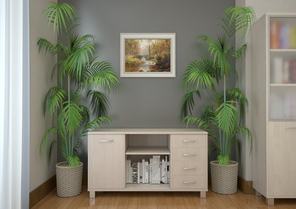 Мебель для руководителя &laquo;FIRST&raquo; - вид 7